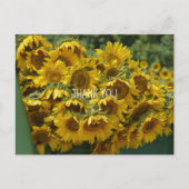 ZONNEBLOEMWAGEN BRIEFKAART (Voorkant)