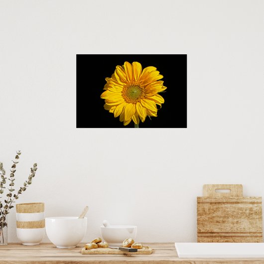 Zonnebloemwapenca Poster (Keuken)