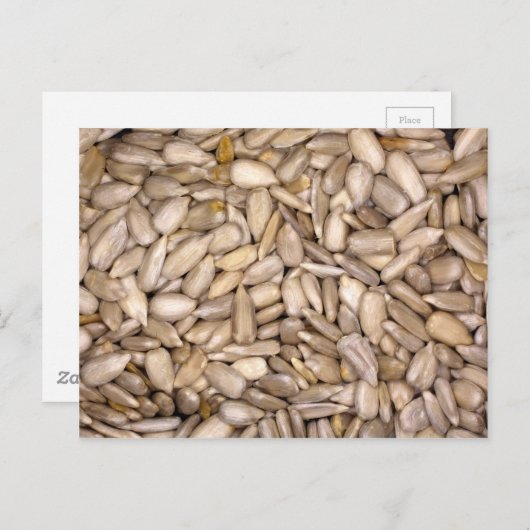 Zonnebloemzaad Briefkaart (Voorkant / Achterkant)