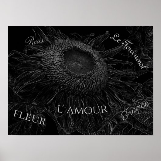 Zonnebloemzwart en wit ontkoppelingsscript poster (Voorkant)