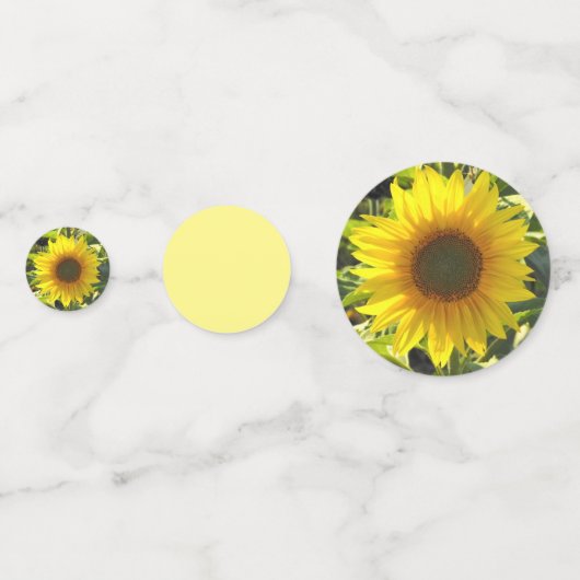 Zonnebloesensensatie Confetti (Voorkanten)