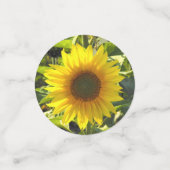 Zonnebloesensensatie Confetti (Kleine voorkant)