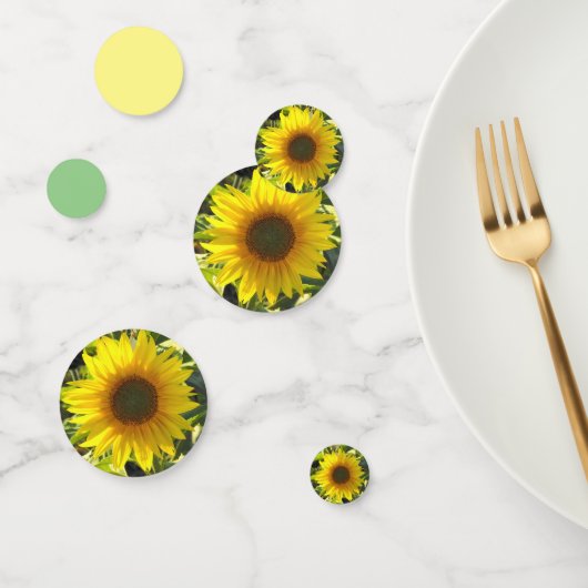 Zonnebloesensensatie Confetti (Groep)