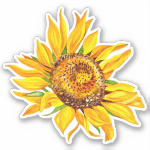 Zonnebloesticker Sticker
