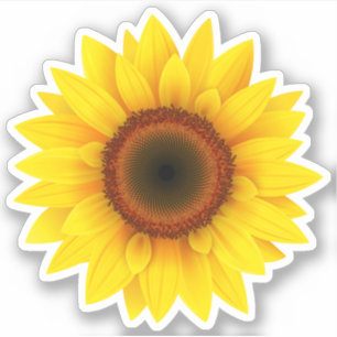 Zonnebloesticker Sticker