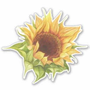 Zonnebloesticker Sticker