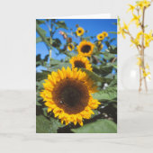 Zonneblokkaart Kaart (Gele Bloem)