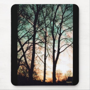 Zonnebomen Fotografie Bossen Muismat