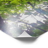 Zonnebomen (Ohio) - Fotoprint Foto Afdruk (Hoek)