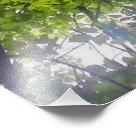 Zonnebomen (Ohio) - Fotoprint Foto Afdruk (Hoek)