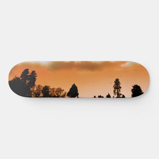 Zonnebomen Persoonlijk Skateboard (Horizontaal)