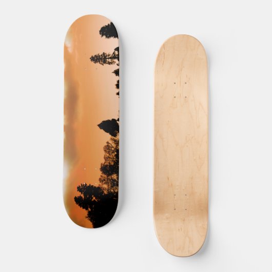 Zonnebomen Persoonlijk Skateboard (Voorkant)