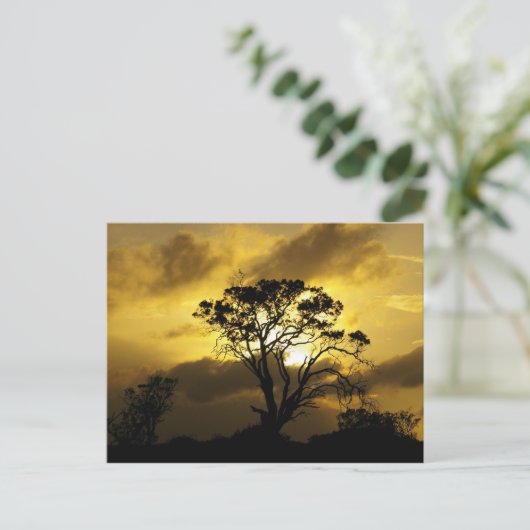 zonneboom briefkaart (Staand voorkant)