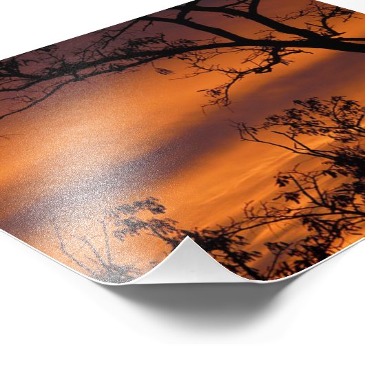 zonneboom foto afdruk (Hoek)