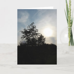 zonneboom kaart