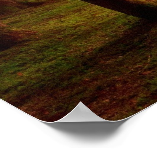 Zonneboombos Poster (Hoek)