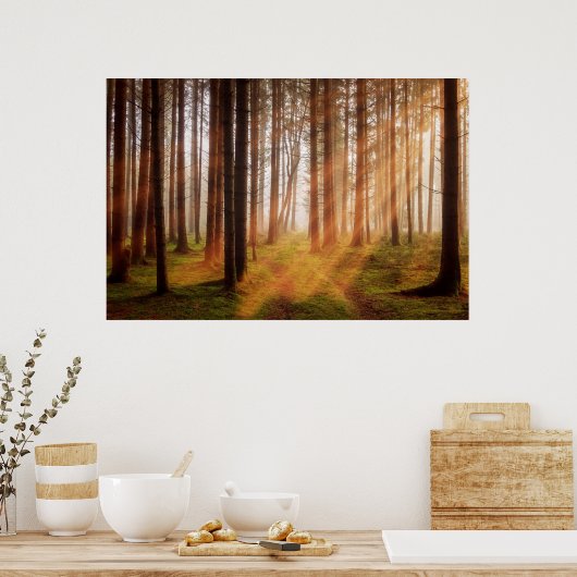 Zonneboombos Poster (Keuken)