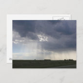 Zonneboomlandschap Briefkaart (Voorkant / Achterkant)