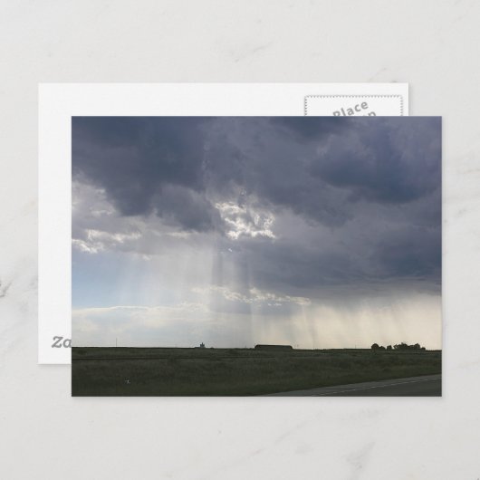 Zonneboomlandschap Briefkaart (Voorkant / Achterkant)