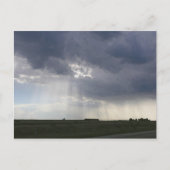 Zonneboomlandschap Briefkaart (Voorkant)