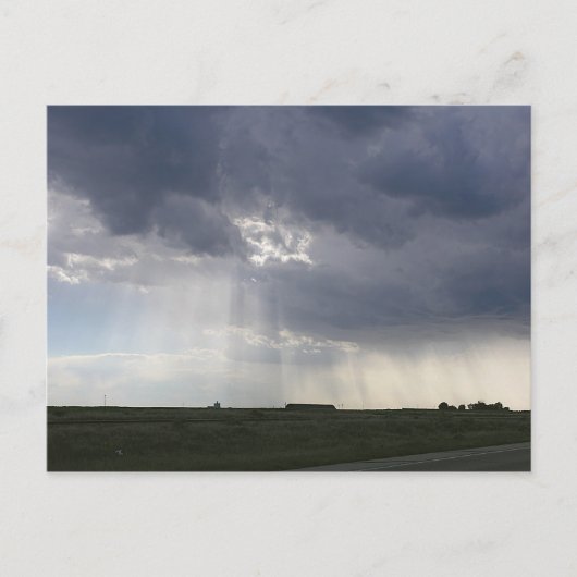 Zonneboomlandschap Briefkaart (Voorkant)