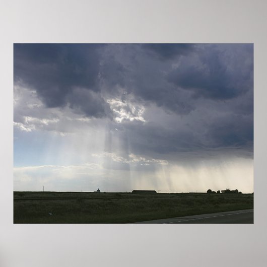 Zonneboomlandschap Poster (Voorkant)