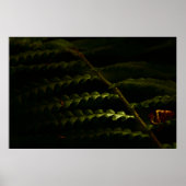 Zonnebossen (6174) poster (Voorkant)