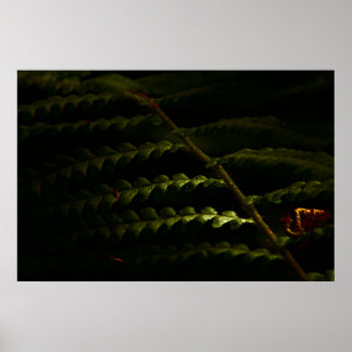 Zonnebossen (6174) poster