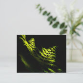 Zonnebossen (6203) briefkaart (Staand voorkant)