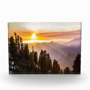 Zonnebossen Fotoblokken
