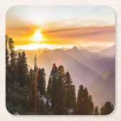 Zonnebossen Kartonnen Onderzetters (Voorkant)