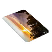 Zonnebossen Magneet (Rechterzijde)