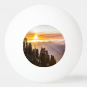 Zonnebossen Pingpongbal (Voorkant)