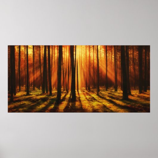 Zonnebossen Poster (Voorkant)