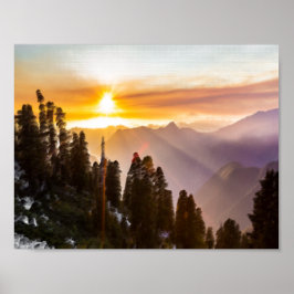 Zonnebossen Poster