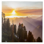 Zonnebossen Tegeltje (Voorkant)