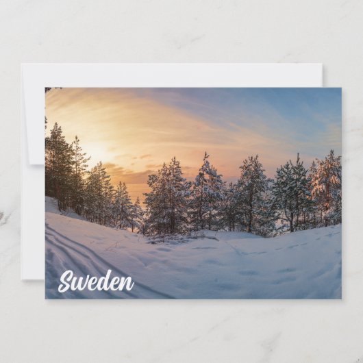 Zonnebrand in het bevroren sneeuwbos nabij zee (Voorkant)