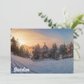 Zonnebrand in het bevroren sneeuwbos nabij zee (Staand voorkant)