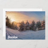 Zonnebrand in het bevroren sneeuwbos nabij zee (Voorkant / Achterkant)