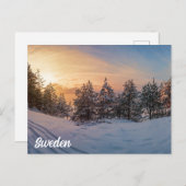 Zonnebrand in het bevroren sneeuwbos nabij zee briefkaart (Voorkant / Achterkant)