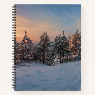 Zonnebrand in het bevroren sneeuwbos nabij zee notitieboek