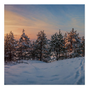 Zonnebrand in het bevroren sneeuwbos nabij zee perfect poster