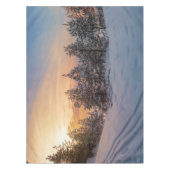 Zonnebrand in het bevroren sneeuwbos nabij zee tafelkleed (Voorkant)