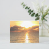 zonnebrand op briefkaart Palm Cove (Staand voorkant)
