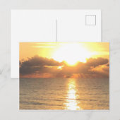 zonnebrand op briefkaart Palm Cove (Voorkant / Achterkant)