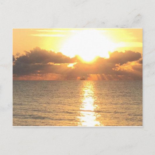 zonnebrand op briefkaart Palm Cove (Voorkant)