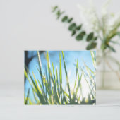 Zonnebrandblusbladen Briefkaart (Staand voorkant)