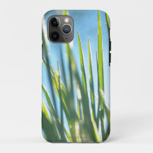 Zonnebrandblusbladen