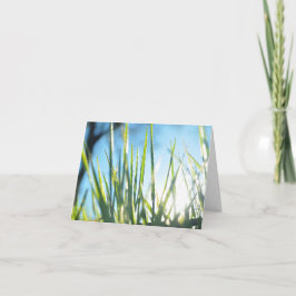 Zonnebrandblusbladen Kaart