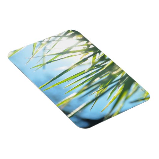 Zonnebrandblusbladen Magneet (Rechterzijde)